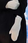  Варежки 'Rhythm' 